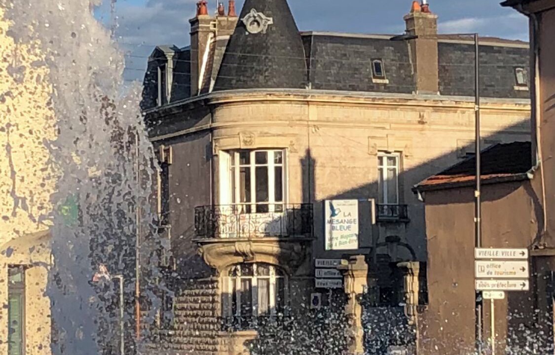 Photo of Others in Neufchateau