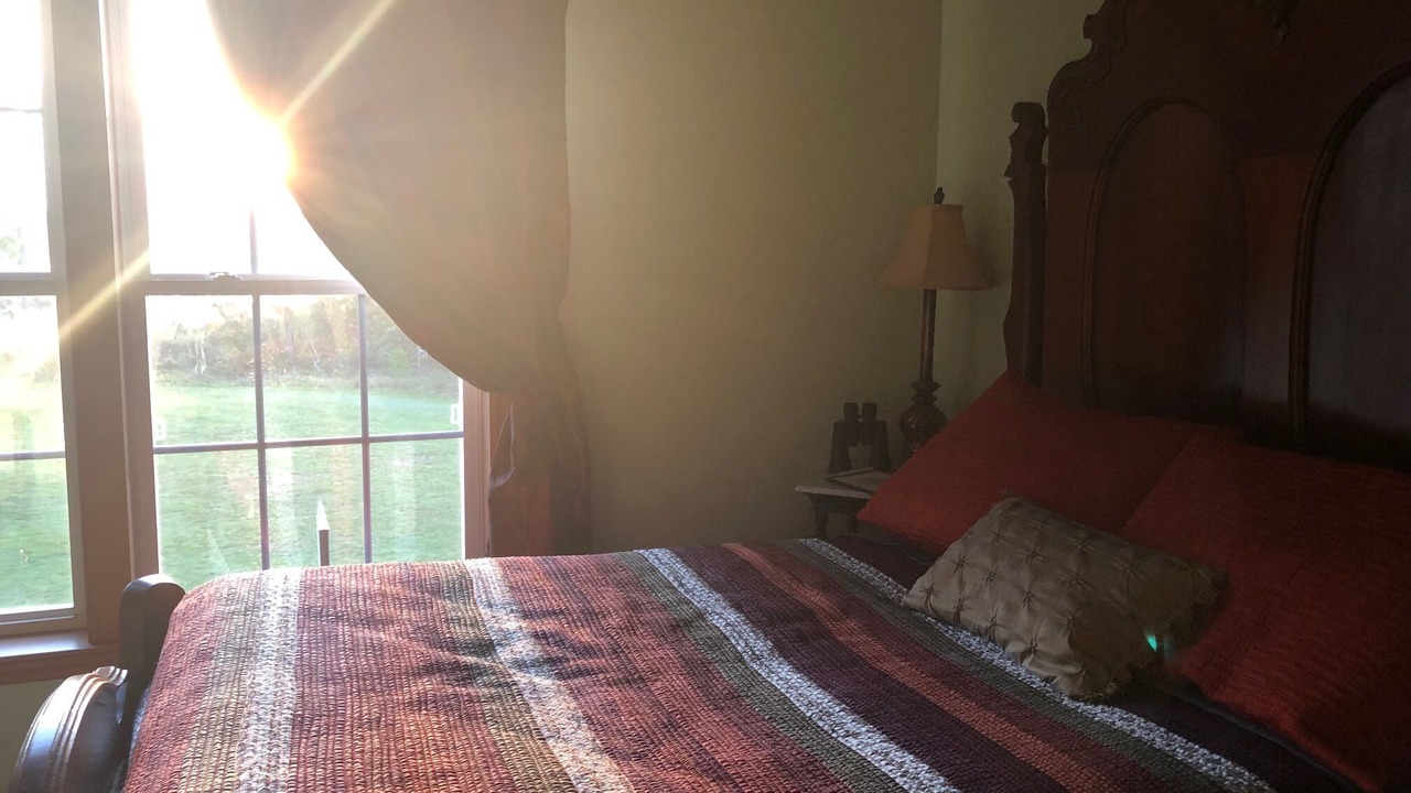 Photo of Bedroom in Milford