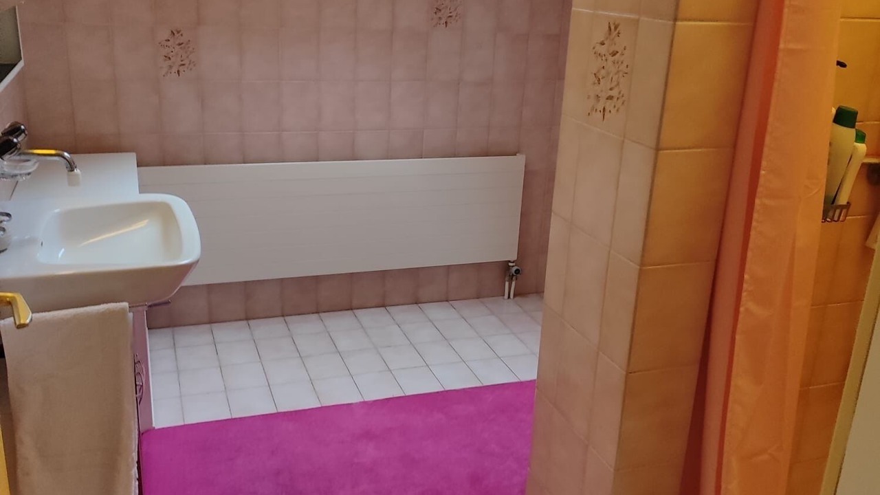 Photo of Bathroom in Pfaffikon District