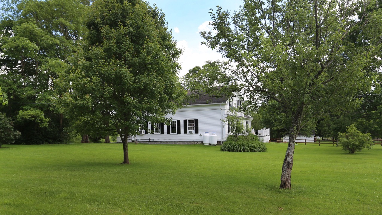 Photo of Outdoor in Otego
