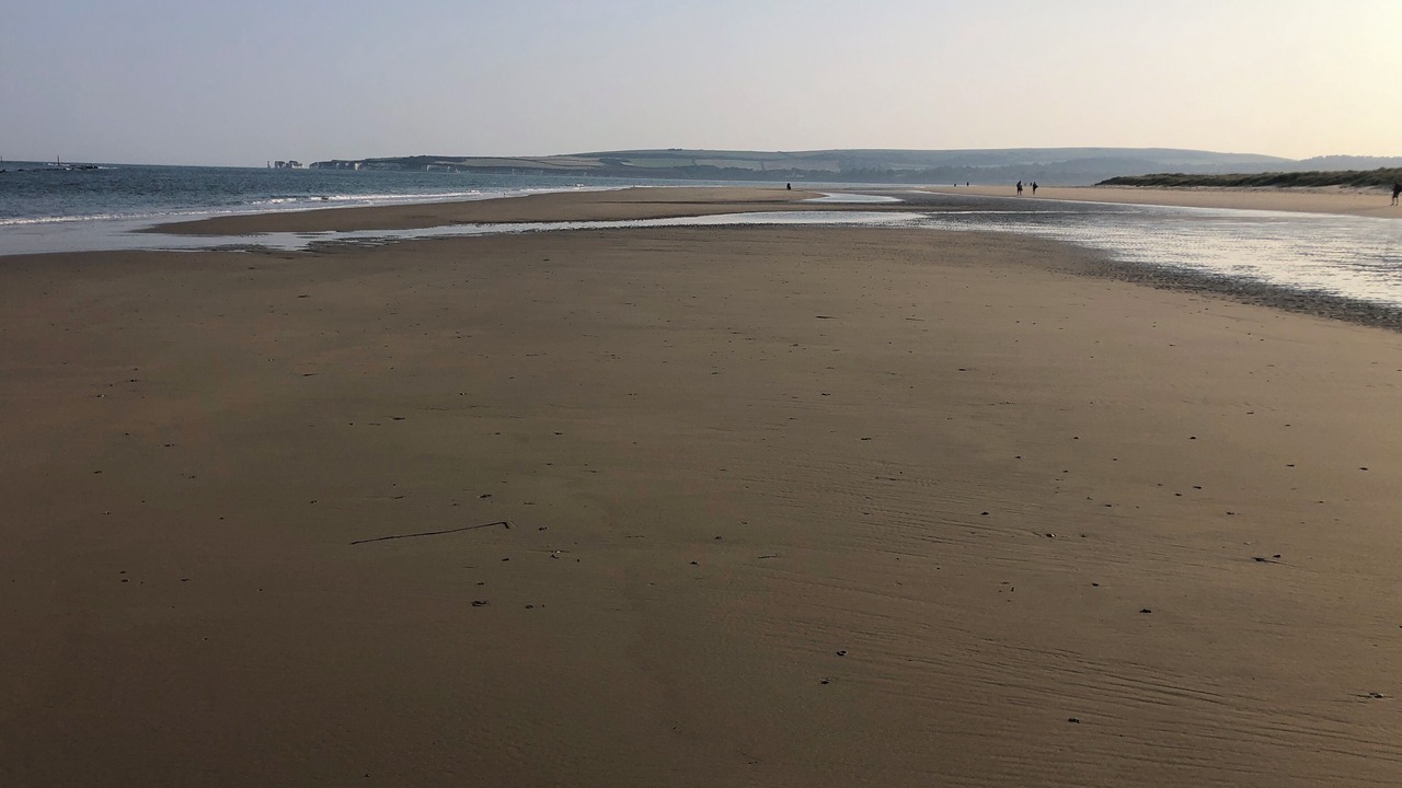 Photo of Others in Sandbanks