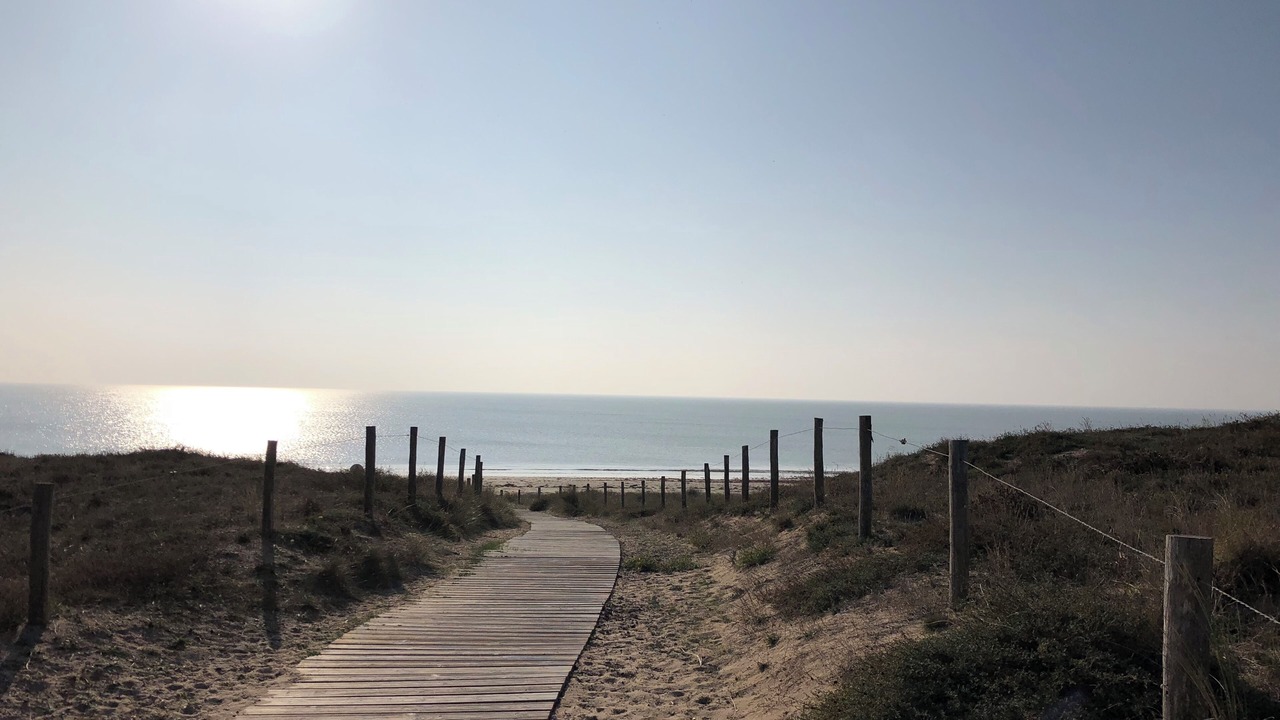 Photo of Outdoor in Barbatre