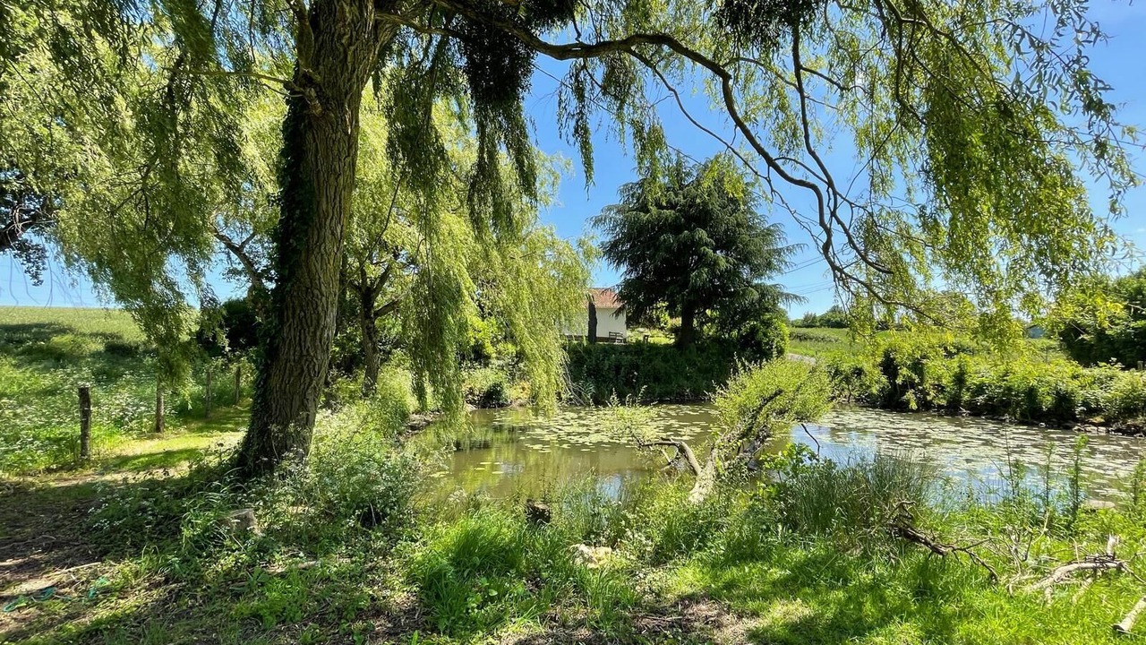 Photo of Outdoor in Thenezay