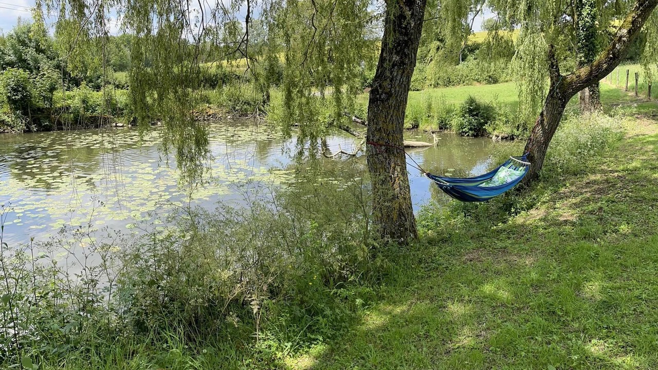 Photo of Others in Thenezay