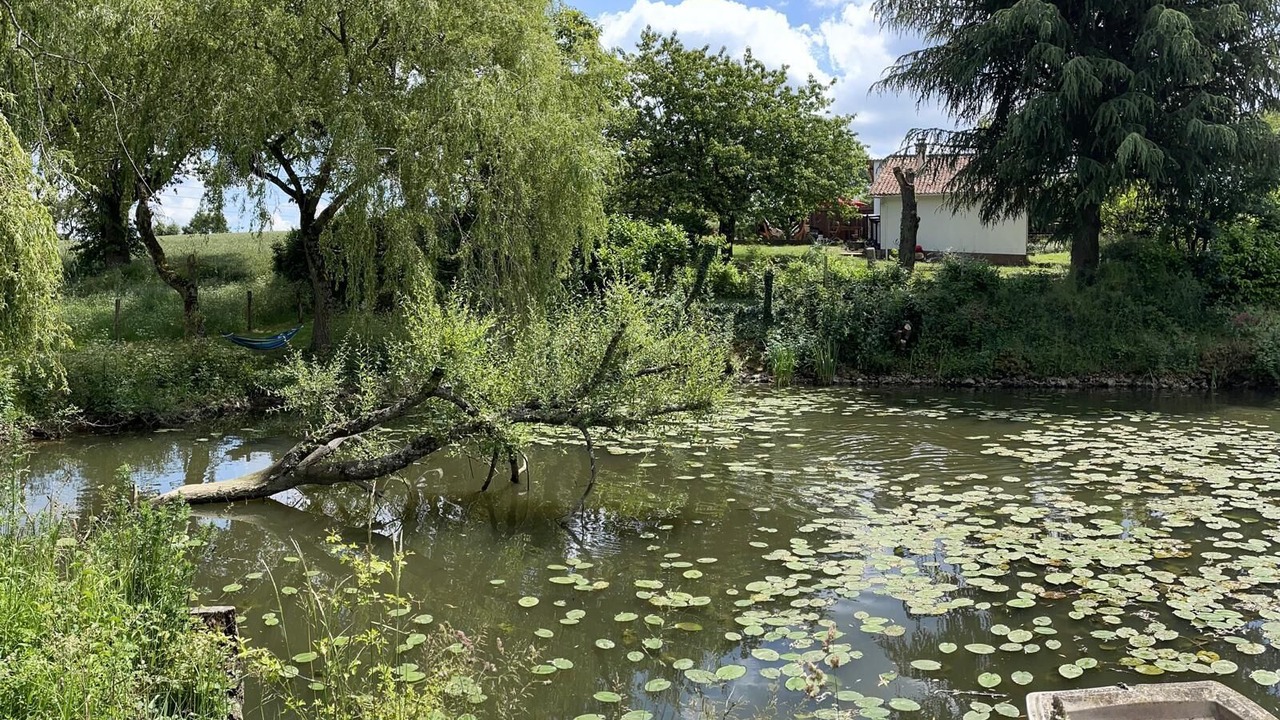 Photo of Outdoor in Thenezay