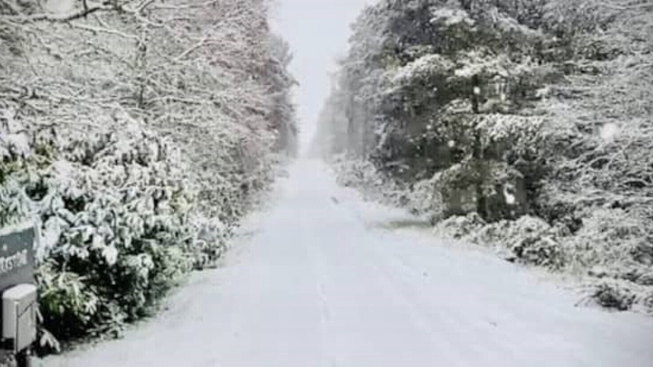 Photo of Others in Nairn