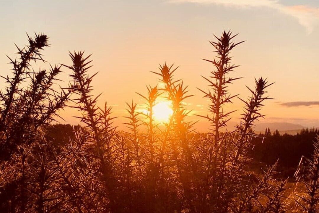 Photo of Others in Nairn