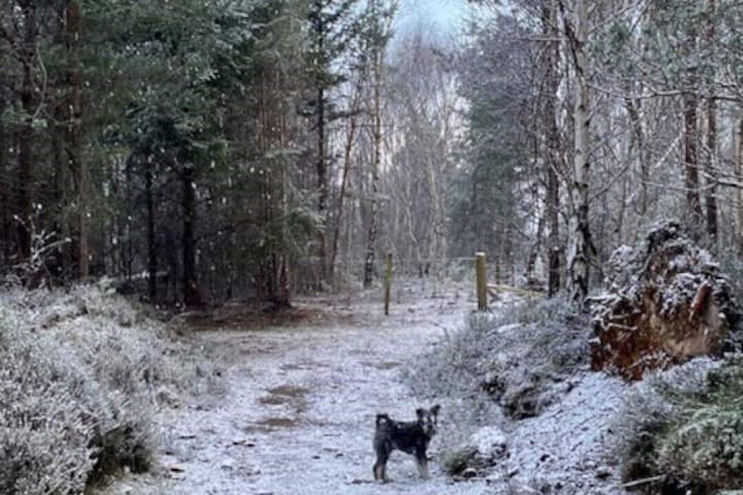 Photo of Others in Nairn