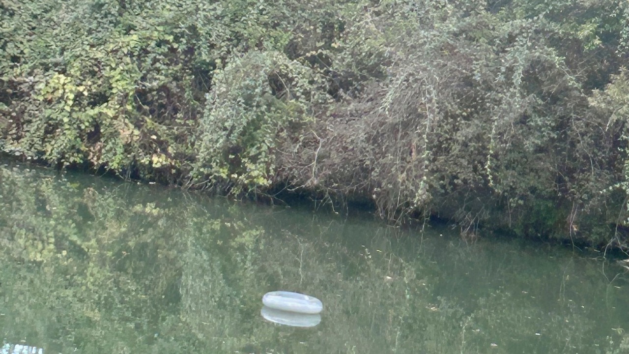 Photo of Others in Seguin