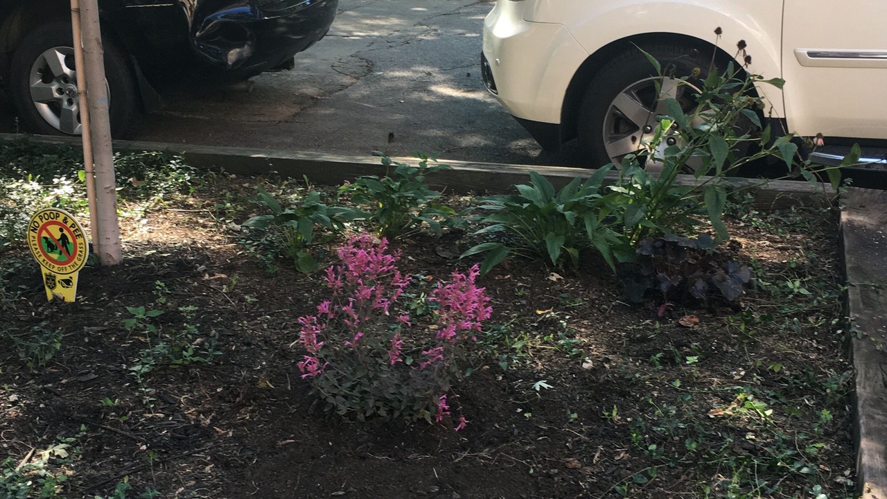 Photo of Outdoor in West Lakeview