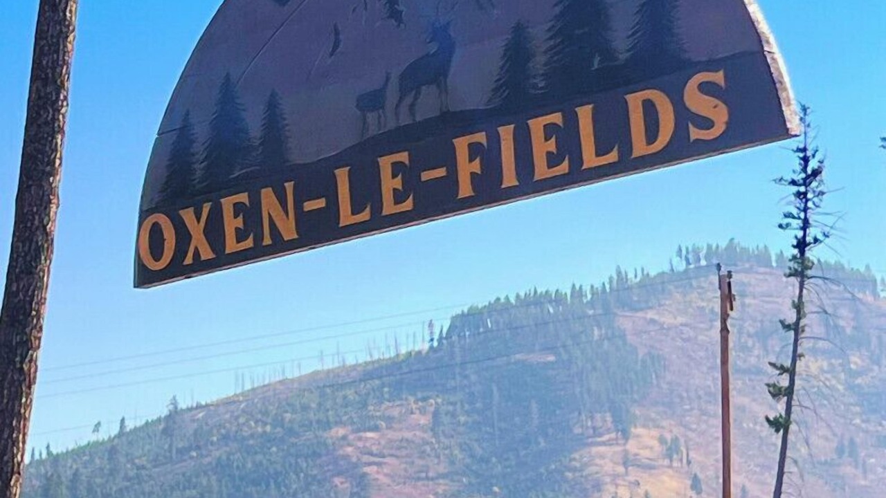 Photo of Others in Conner