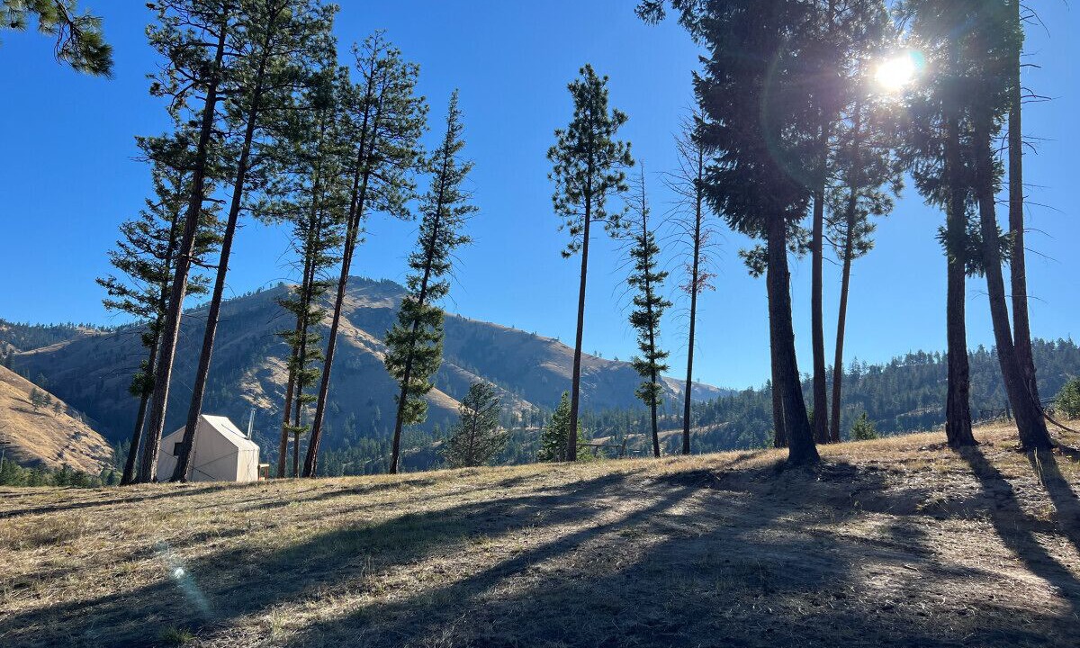 Photo of Outdoor in Conner