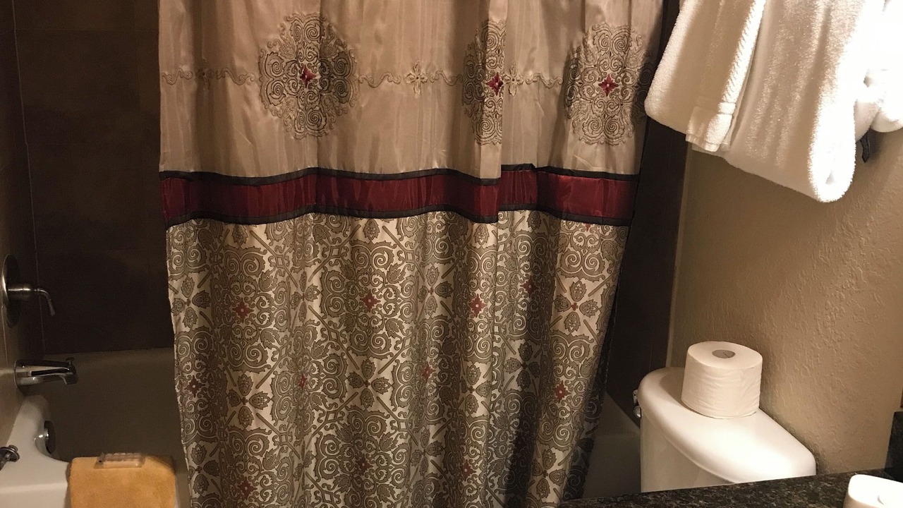 Photo of Bathroom in Wellington