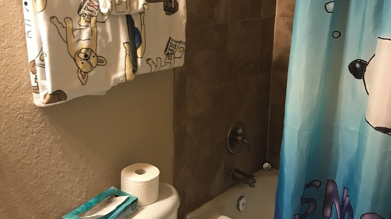 Photo of Bathroom in Wellington