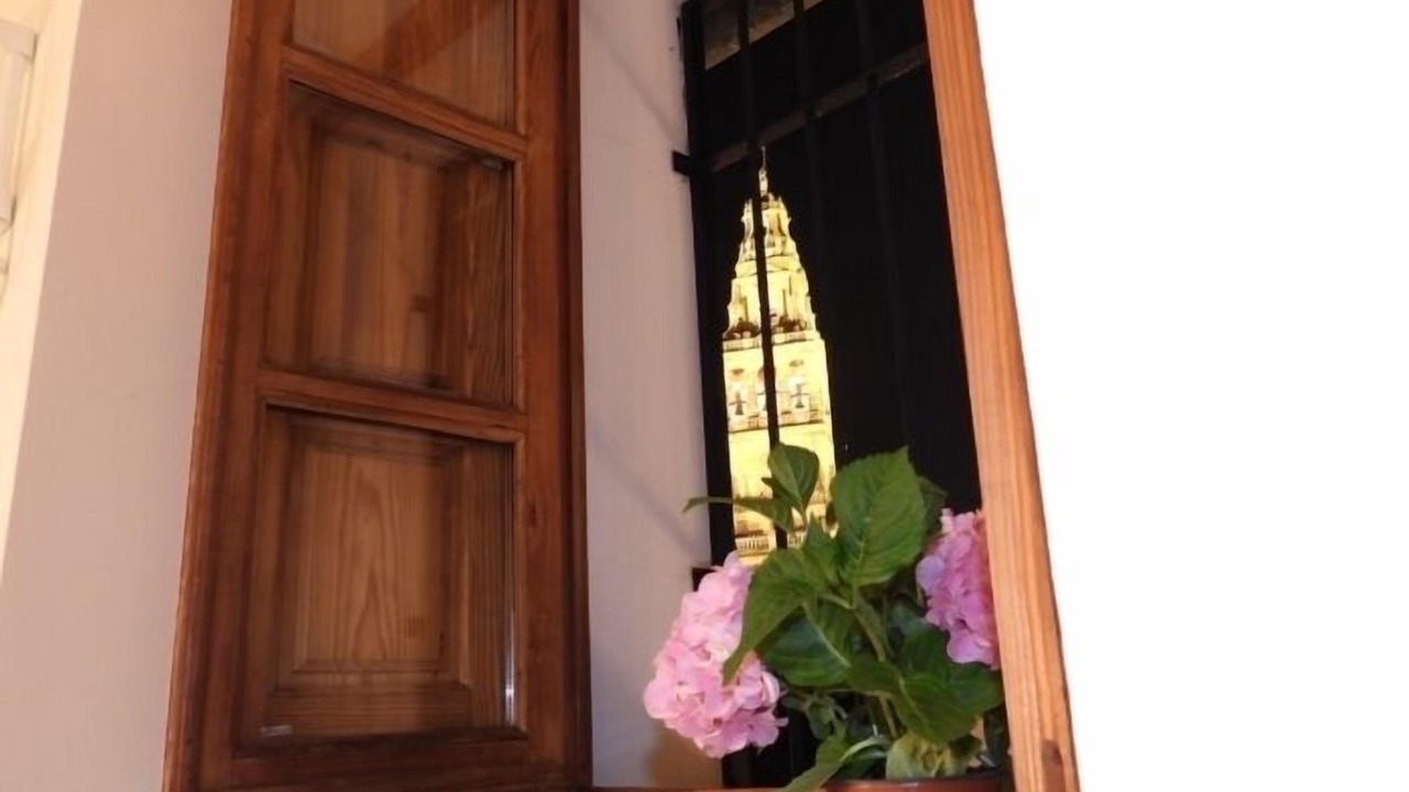 Photo of Others in La Catedral