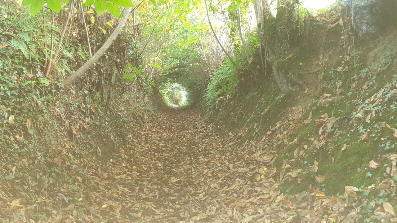 Photo of Outdoor in Mezieres-sur-Couesnon