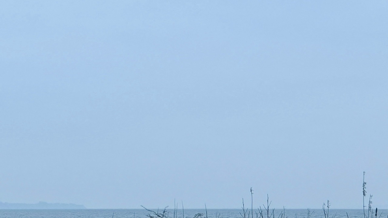 Photo of Others in Øsløs
