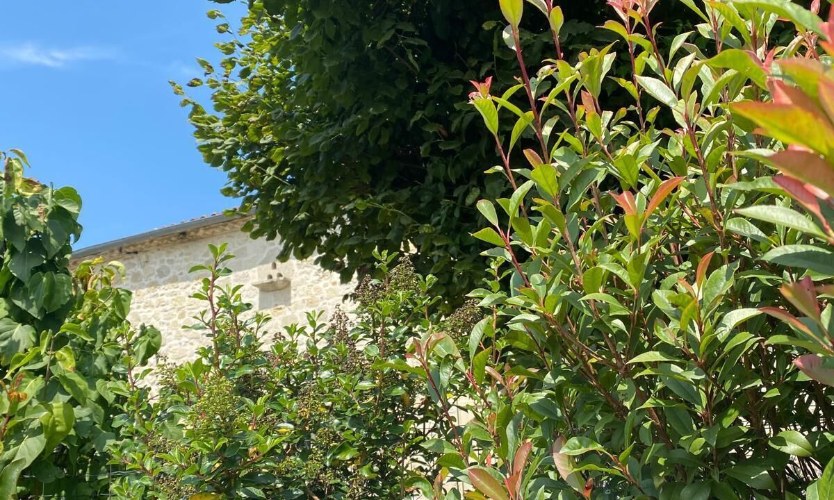 Photo of Outdoor in Montpezat