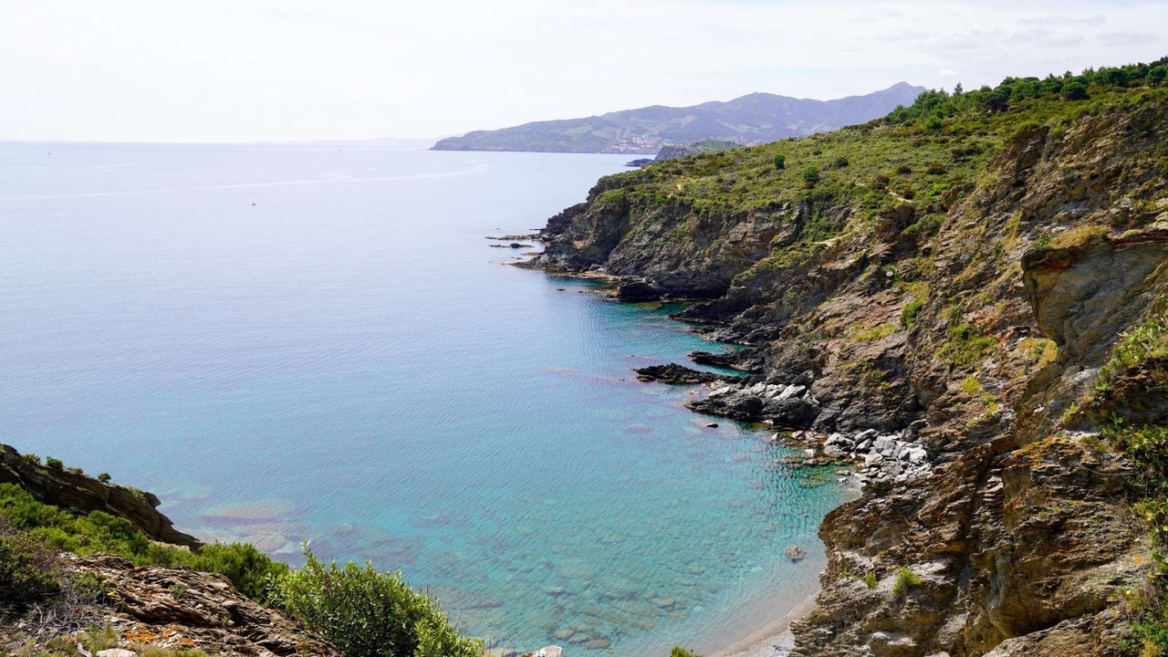 Photo of Others in Plage d'Argeles