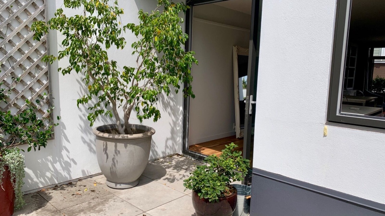 Photo of Others in Ponsonby