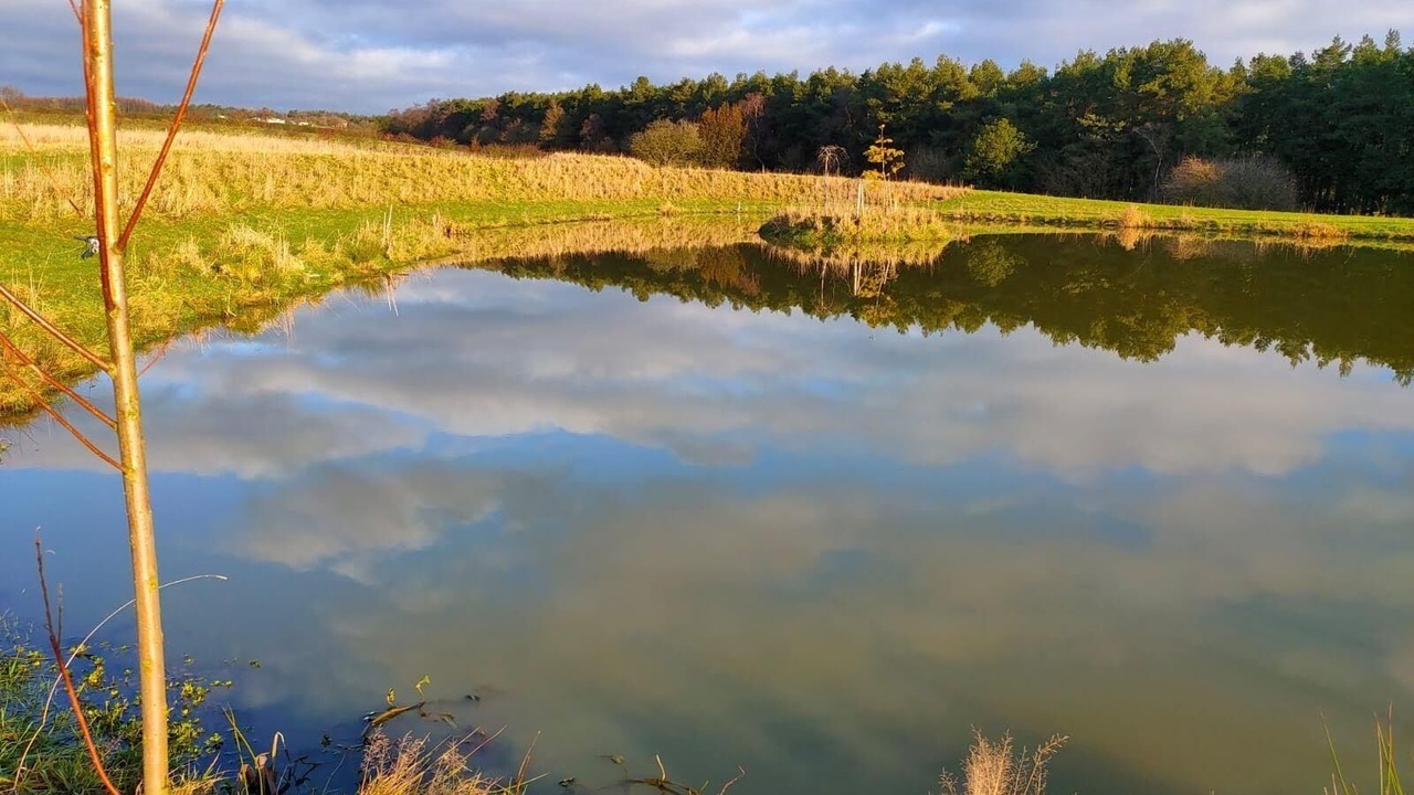 Photo of Outdoor in Pickering