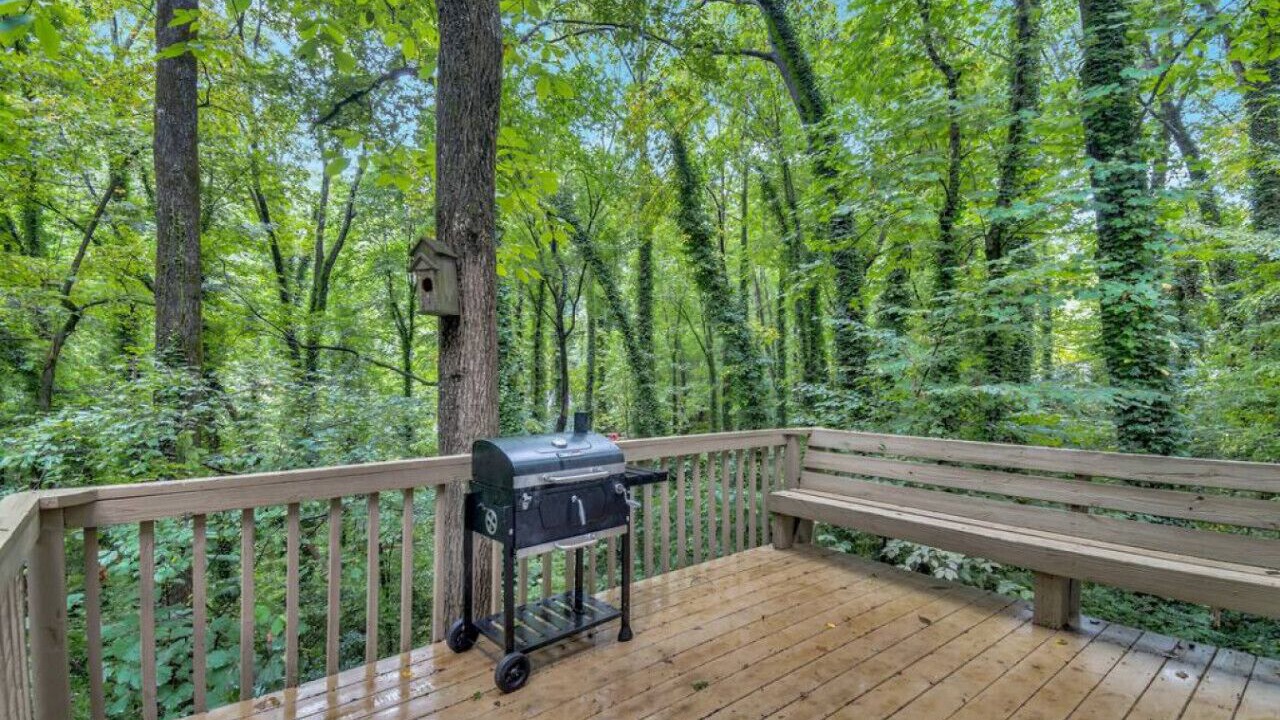 Photo of Outdoor in Acworth