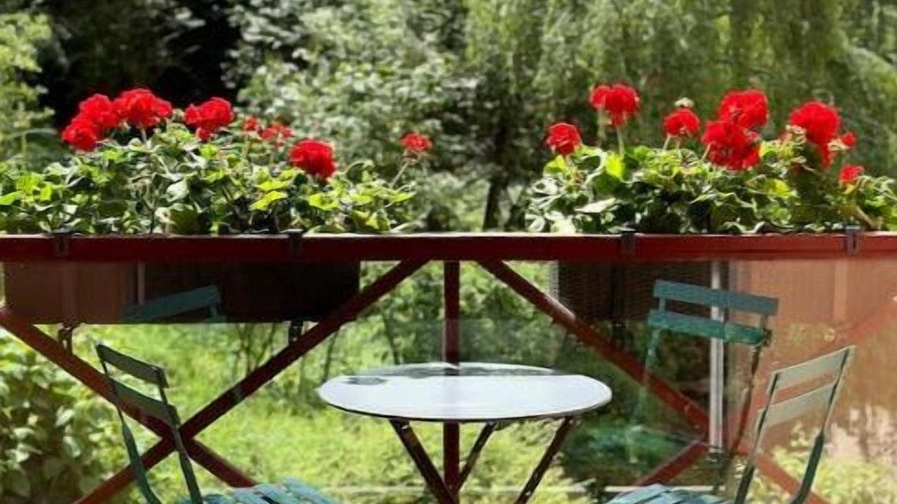 Photo of Outdoor in Kaysersberg