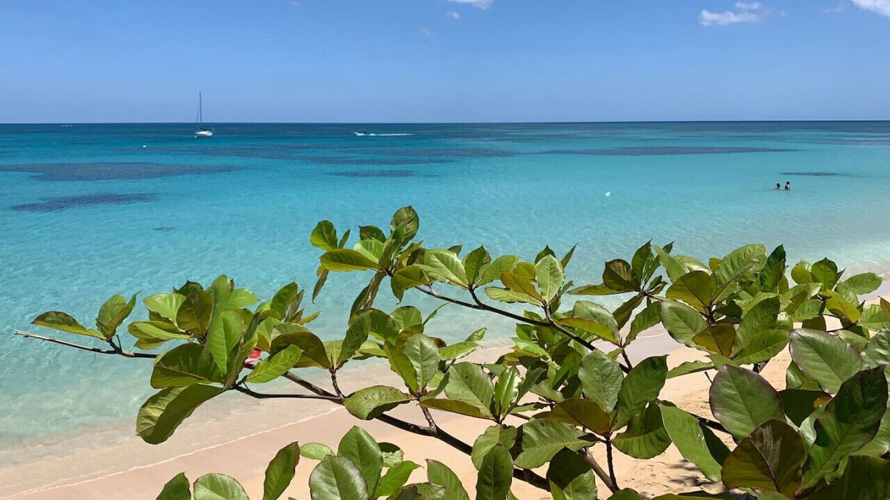 Photo of Others in La Iglesia