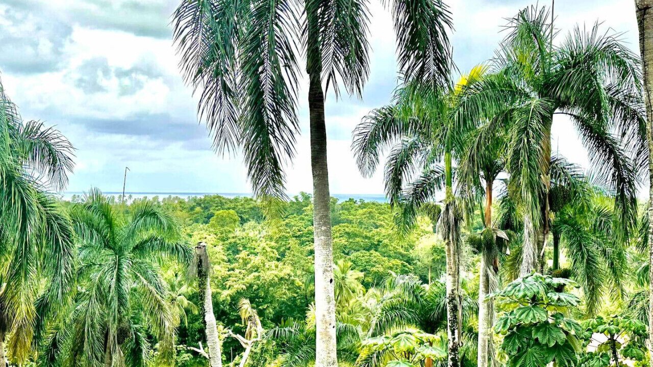 Photo of Others in La Ceiba