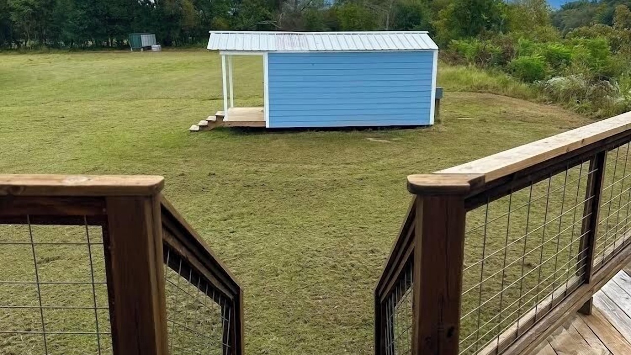 Photo of Outdoor in Tennga