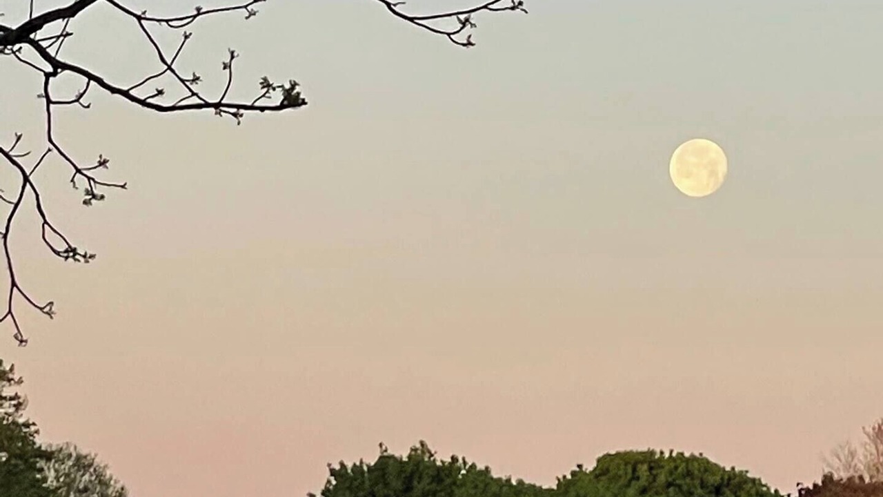 Photo of Others in Drifting