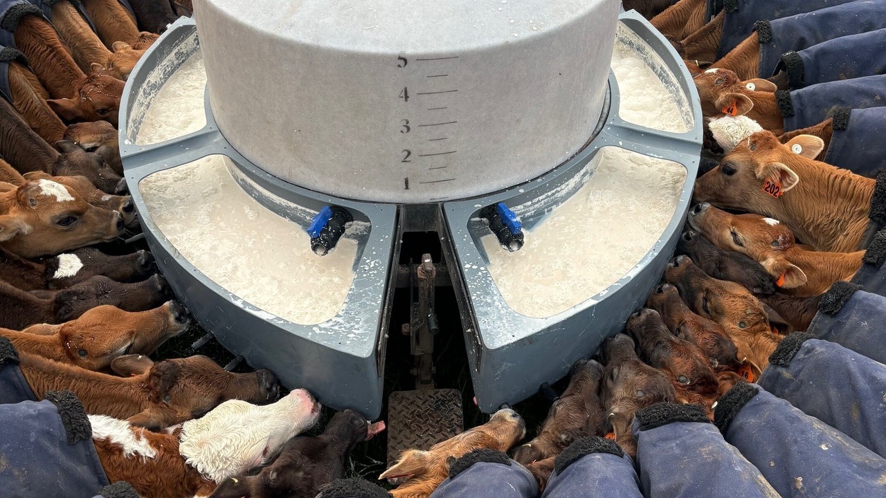 Photo of Others in Auroa