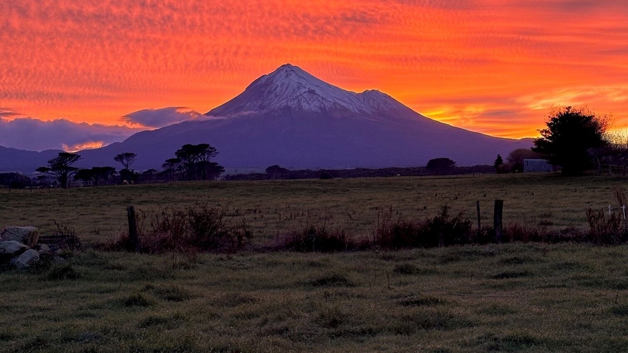 Photo of Others in Auroa