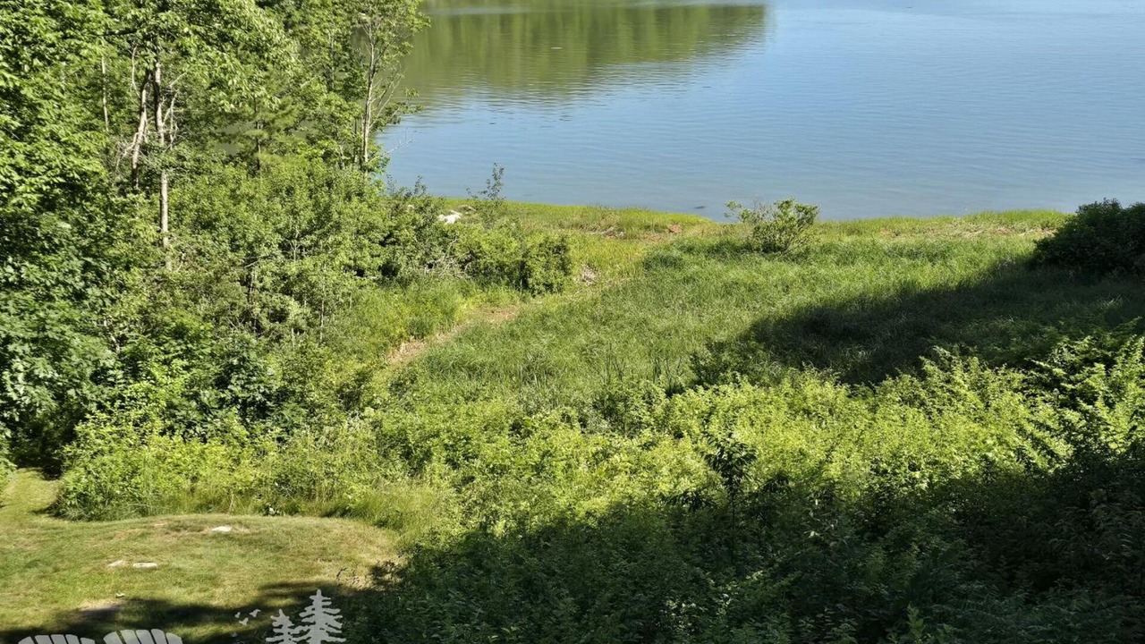 Photo of Others in Damariscotta