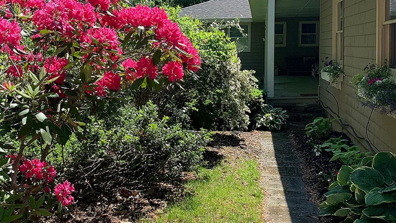 Photo of Outdoor in Damariscotta