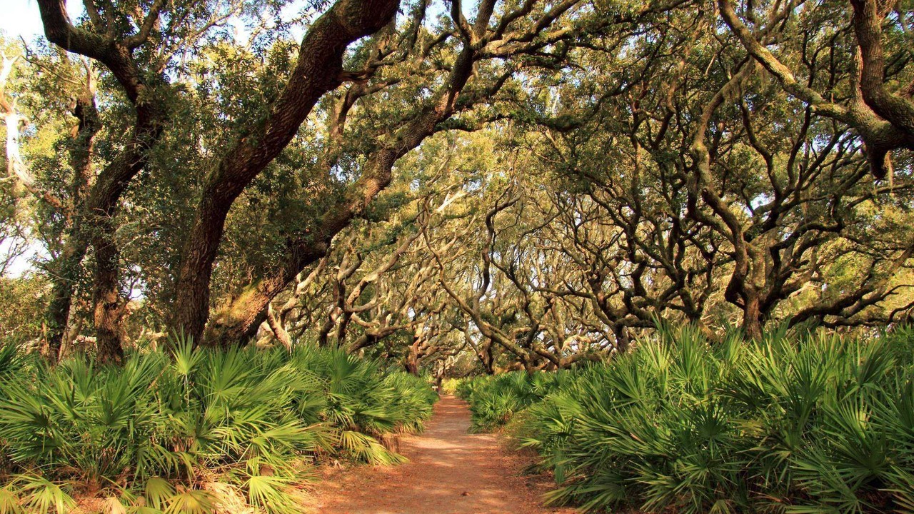 Photo of Others in Saint Simons Heights