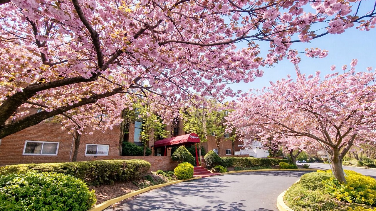 Photo of Outdoor in Elkins Park