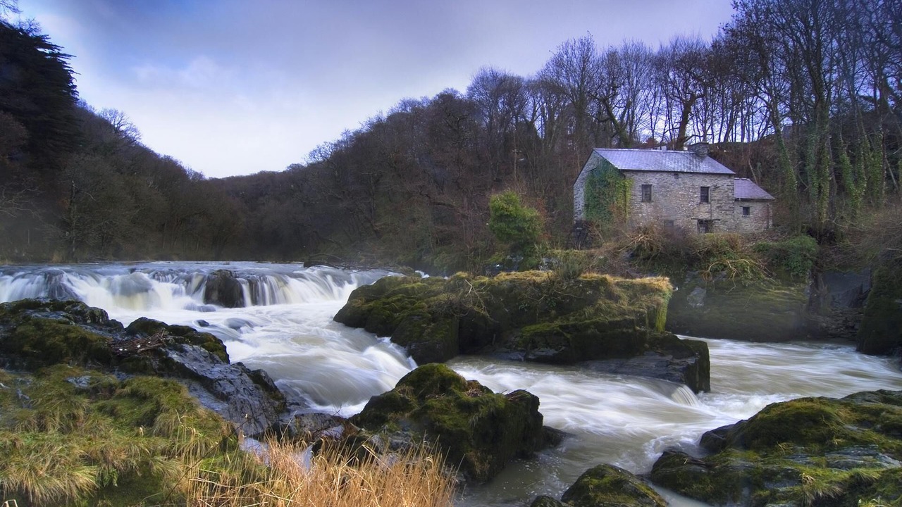 Photo of Others in Llangeler