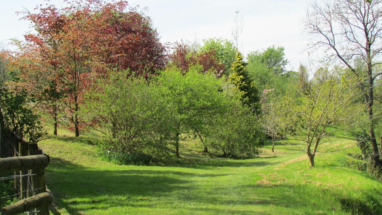 Photo of Others in Llangeler