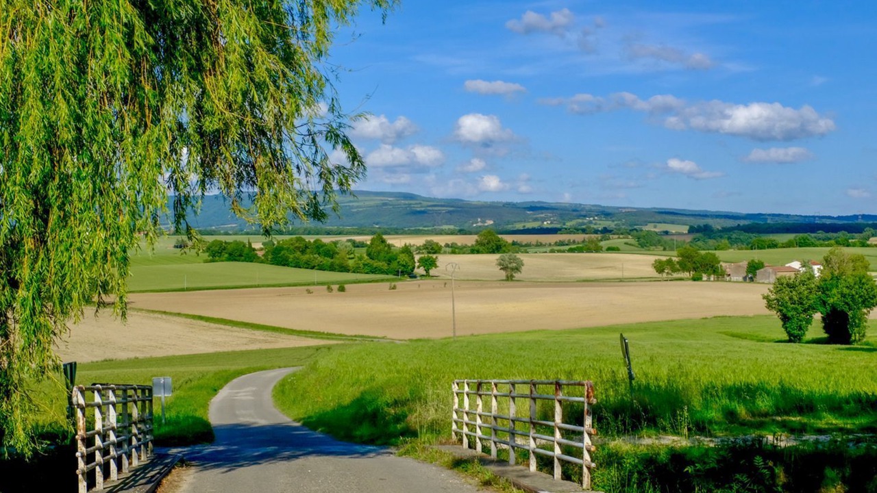 Photo of Others in Saint-Paulet