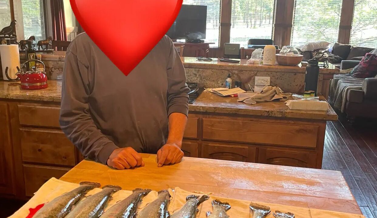 Photo of Others in Greer