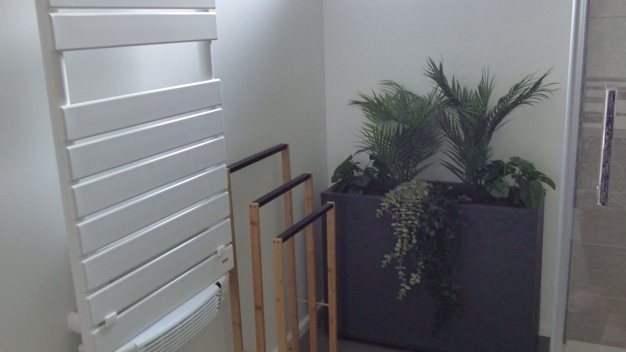 Photo of Others in Paimpont