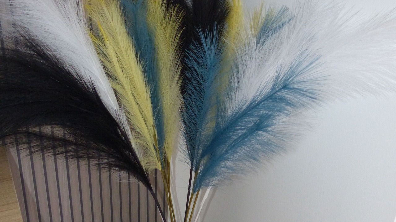 Photo of Bedroom in Paimpont