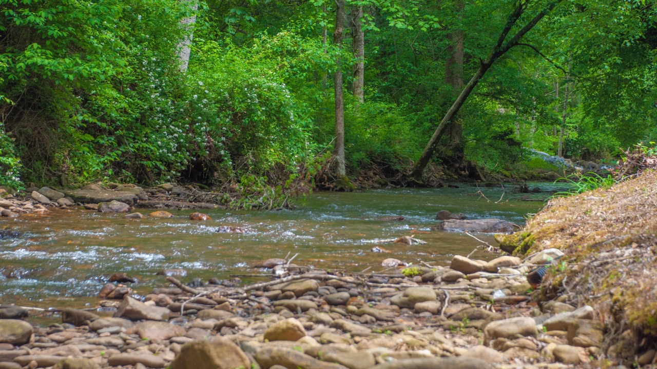 Photo of Outdoor in Hayesville