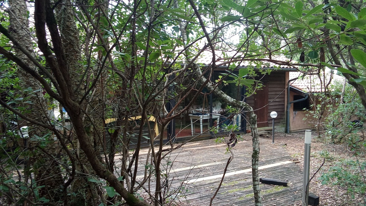 Photo of Outdoor in Lit-et-Mixe