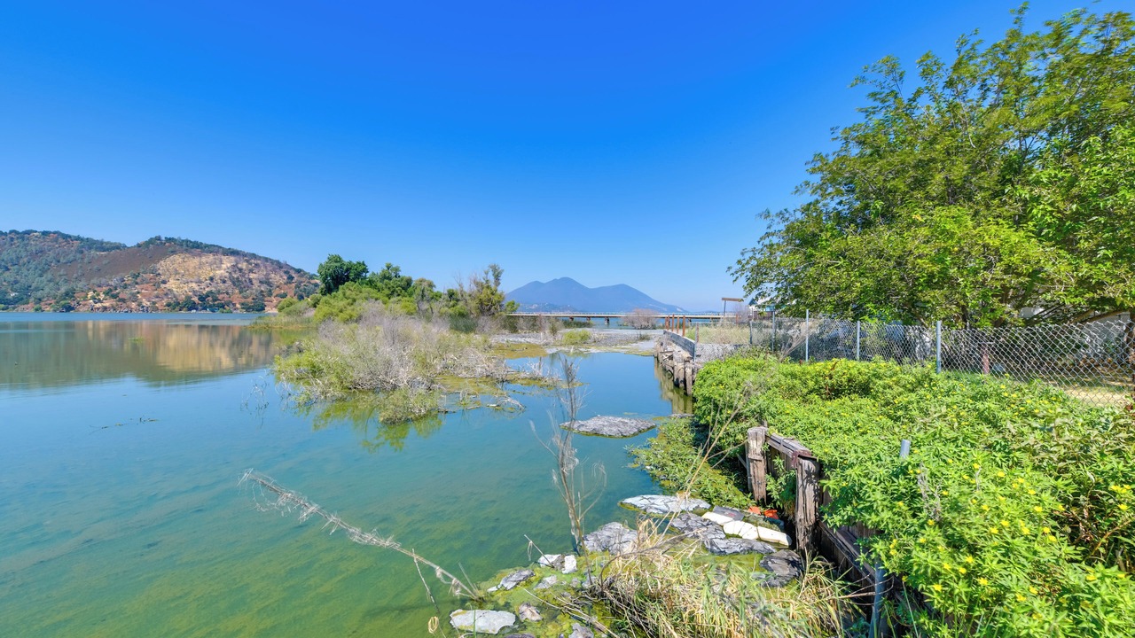 Photo of Others in Clearlake