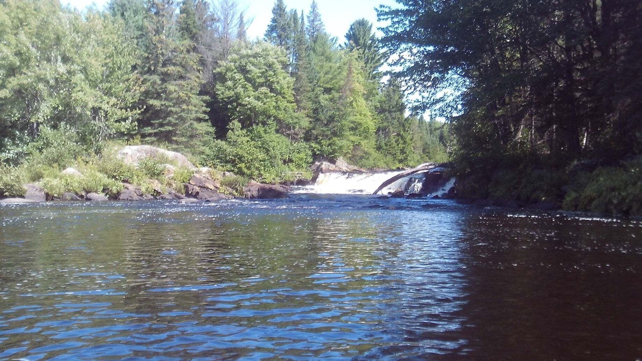 Photo of Others in Bracebridge