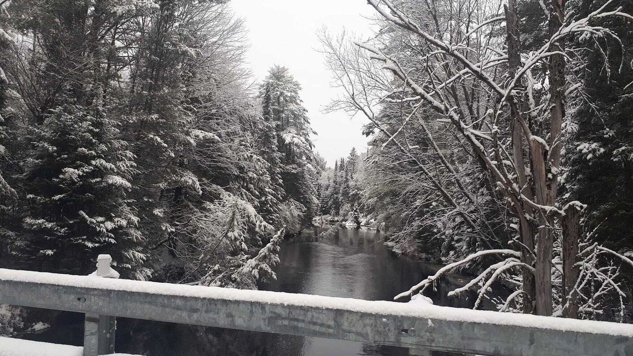 Photo of Outdoor in Bracebridge