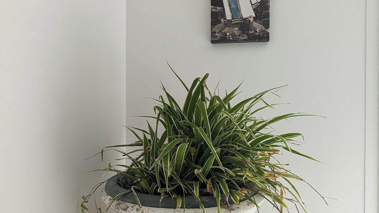 Photo of Others in Angoulins