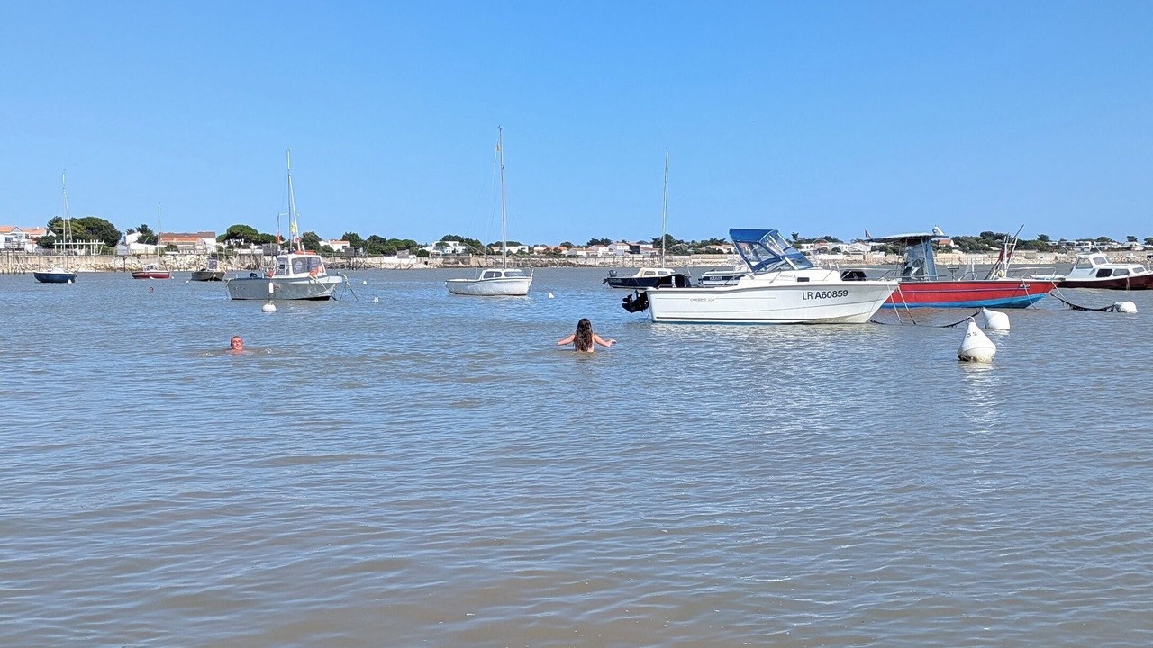Photo of Others in Angoulins